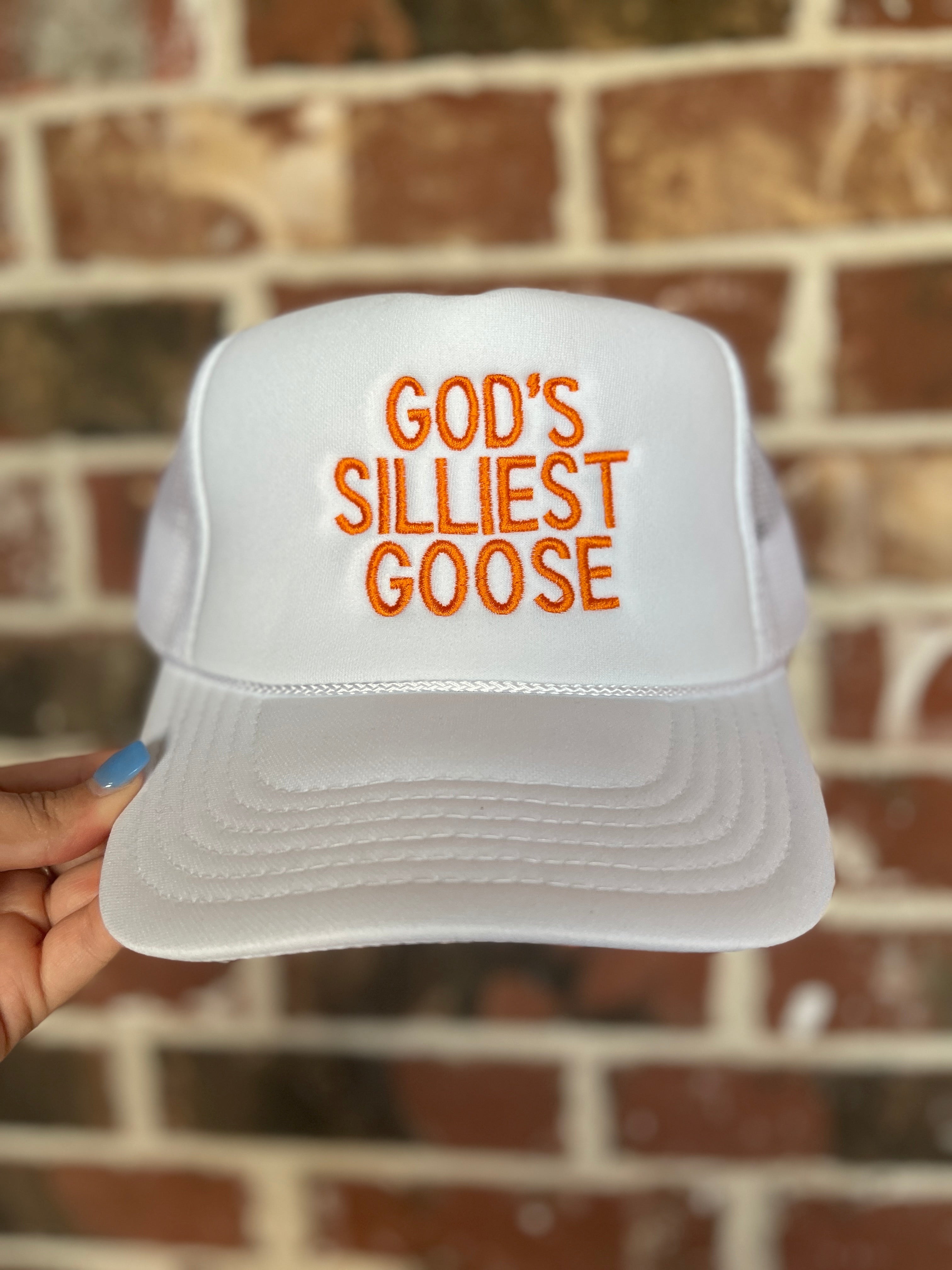 God's Silliest Goose